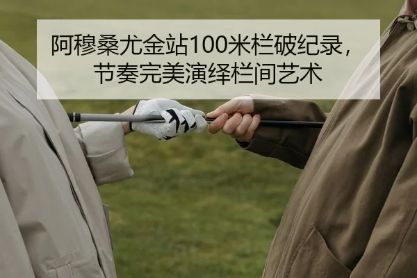 a-mu-sang-you-jin-zhan-mi-lan-po-ji-lu-jie-zou-wan-mei-yan-yi-lan-jian-yi-shu-2-982.jpg